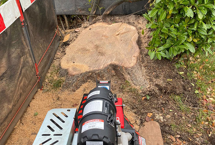 Stump Removal London