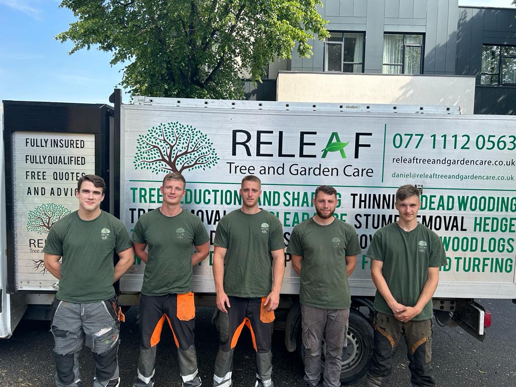 Releaf Tree & Garden Care